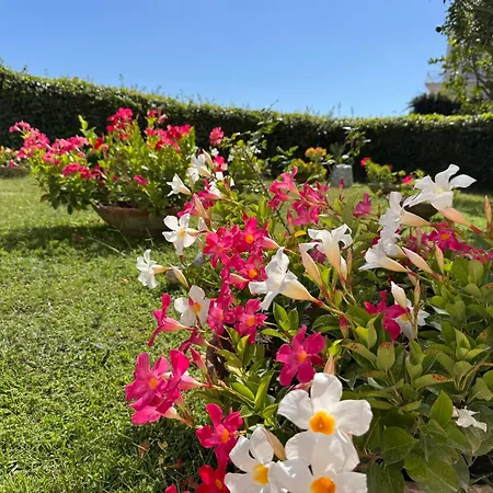 Casa Stefania Appartement Capri