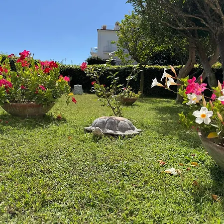 公寓 Casa Stefania *